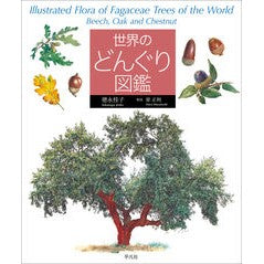 世界のどんぐり図鑑