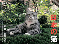 #岩合光昭写真 #カレンダー’２３日本の猫