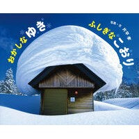 画像をギャラリービューアに読み込む, おかしなゆき　ふしぎなこおり

