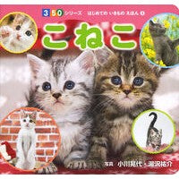 Load image into Gallery viewer, こねこ Ogawa Akiyo Kitten
