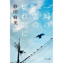 Load image into Gallery viewer, 一瞬の雲の切れ間に
