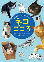 画像をギャラリービューアに読み込む, #ＣＡＭＰＮＹＡＮ #話せばわかる！？ネコごころ
