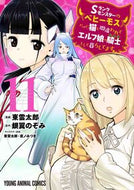 #銀翼のぞみ #Ｓランクモンスターの《ベヒーモス》１１ :9784592164289