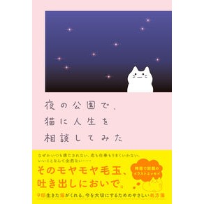 夜の公園で、猫に人生を相談してみた