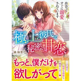 極上彼氏と秘密の甘恋～出会ってすぐに溺愛