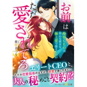 お前はただ愛されてろ～俺様ＣＥＯは初心な