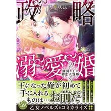 画像をギャラリービューアに読み込む, 攻略溺愛婚～強引な王と初恋人質姫～
