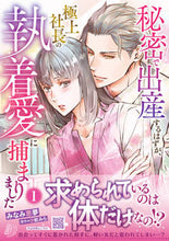 画像をギャラリービューアに読み込む, #みなみ恵夢 #秘密で出産するはずが、極上社長の執着１ :9784596524263
