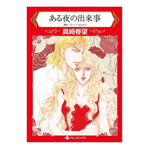 ある夜の出来事