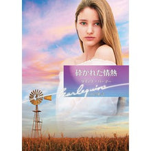 画像をギャラリービューアに読み込む, 砕かれた情熱
