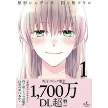 画像をギャラリービューアに読み込む, 整形シンデレラ　　　１
