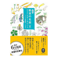 野草の名前　夏　和名の由来と見分け方