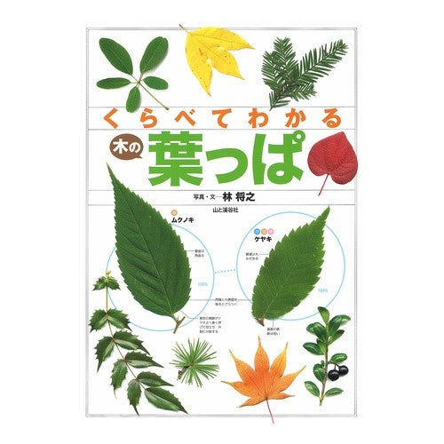 くらべてわかる木の葉っぱ