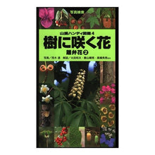 画像をギャラリービューアに読み込む, 樹に咲く花　離弁花　　　２

