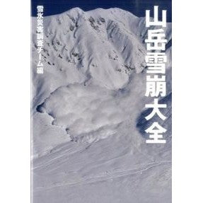 山岳雪崩大全