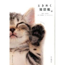 画像をギャラリービューアに読み込む, ＃今泉　忠明　監修 ＃ときめく猫図鑑 ｲﾏｲｽﾞﾐﾀﾀﾞｱｷ 山と渓谷社 (ときめく図鑑(Book for Discovery)) : Supervised by Tadaaki Imaizumi Exciting cat encyclopedia :9784635202312
