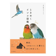 画像をギャラリービューアに読み込む, ときめくインコ図鑑 Opi-toumoto A thrilling parakeet picture book
