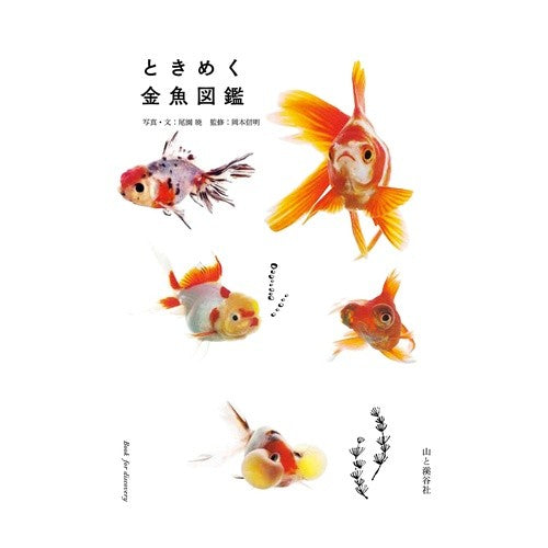 ときめく金魚図鑑