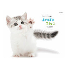 画像をギャラリービューアに読み込む, カレンダー　’２２　ほのぼの子ねこ
