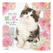 画像をギャラリービューアに読み込む, ’２２　猫と花のカレンダー
