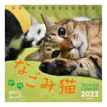 Load image into Gallery viewer, ’２２　週めくりカレンダー　なごみ猫
