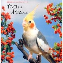 画像をギャラリービューアに読み込む, インコちゃんオウムちゃん
