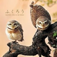 画像をギャラリービューアに読み込む, ふくろう

