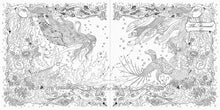 画像をギャラリービューアに読み込む, PIE パイインターナショナル 塗り絵 ・ おとぎ話のぬり絵シリーズ お姫さまと妖精のぬり絵ブック ぬりえ ぬり絵 介護 ディズニー 鳥 花 風景 ふるさと  スケジュール帳 手帳のタイムキーパー :9784756246875
