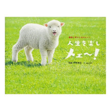 画像をギャラリービューアに読み込む, 動物に学ぶ人生のヒント人生を楽しメェ～！
