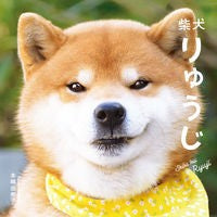#Yukiko Motoshima: Shiba Inu Ryuji. Pie International :9784756251107