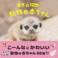 画像をギャラリービューアに読み込む, 世界のかわいい動物の赤ちゃん
