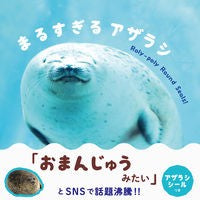 画像をギャラリービューアに読み込む, まるすぎるアザラシ
