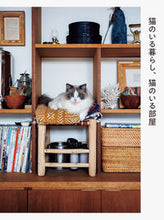 Load image into Gallery viewer, #パイインターナ #猫のいる暮らし、猫のいる部屋
