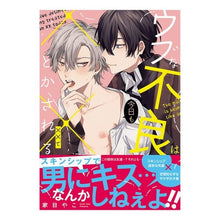 画像をギャラリービューアに読み込む, ウブな不良は今日も××でとかされる
