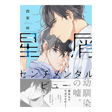 画像をギャラリービューアに読み込む, 星屑センチメンタルビュー
