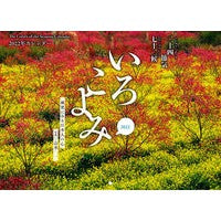 Load image into Gallery viewer, ’２２　いろこよみカレンダー
