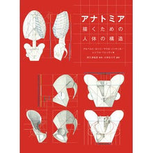 画像をギャラリービューアに読み込む, アナトミア　描くための人体の構造
