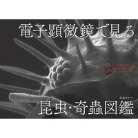 Load image into Gallery viewer, 電子顕微鏡で見る昆虫・奇蟲図鑑

