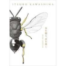 画像をギャラリービューアに読み込む, 虫を観る、虫を描く　標本画家川島逸郎の仕
