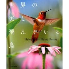 画像をギャラリービューアに読み込む, 世界の美しい飛んでいる鳥
