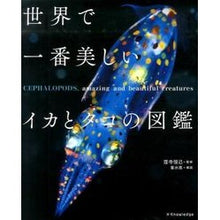 画像をギャラリービューアに読み込む, 世界で一番美しいイカとタコの図鑑
