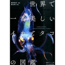 Load image into Gallery viewer, 世界で一番美しいイカとタ　愛蔵ポケット版
