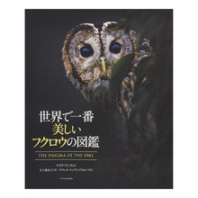 画像をギャラリービューアに読み込む, 世界で一番美しいフクロウの図鑑
