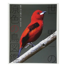 画像をギャラリービューアに読み込む, 世界の原色の鳥図鑑
