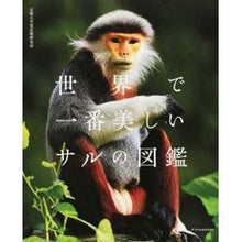 画像をギャラリービューアに読み込む, 世界で一番美しいサルの図鑑
