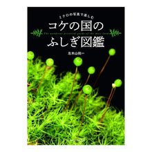 画像をギャラリービューアに読み込む, コケの国のふしぎ図鑑
