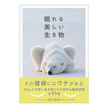 画像をギャラリービューアに読み込む, 眠れる美しい生き物
