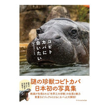 画像をギャラリービューアに読み込む, コビトカバに会いたい
