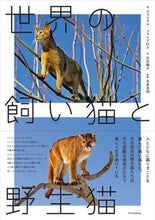 画像をギャラリービューアに読み込む, #ジュリアナ・フォトプ #世界の飼い猫と野生猫 :9784767832500
