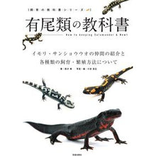 画像をギャラリービューアに読み込む, 有尾類の教科書　イモリ・サンショウウオの
